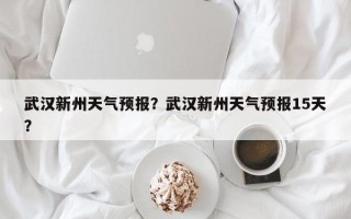 武汉新州天气预报？武汉新州天气预报15天？
