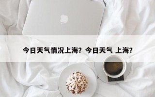 今日天气情况上海？今日天气 上海？