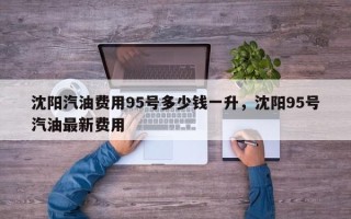 沈阳汽油费用95号多少钱一升，沈阳95号汽油最新费用