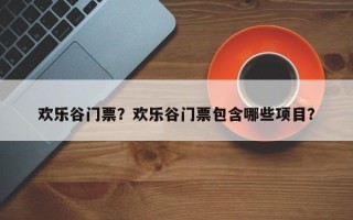 欢乐谷门票？欢乐谷门票包含哪些项目？