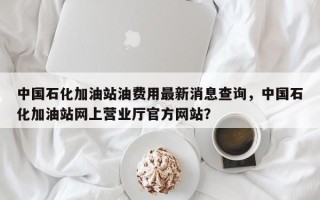 中国石化加油站油费用最新消息查询，中国石化加油站网上营业厅官方网站？