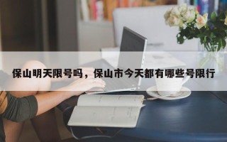 保山明天限号吗，保山市今天都有哪些号限行