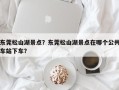 东莞松山湖景点？东莞松山湖景点在哪个公共车站下车？