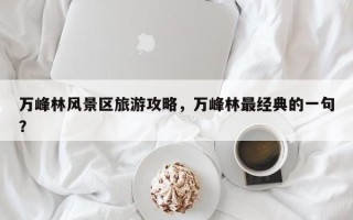 万峰林风景区旅游攻略，万峰林最经典的一句？