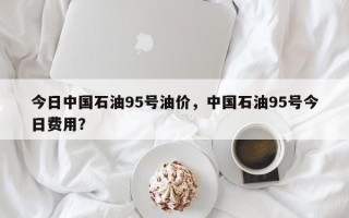 今日中国石油95号油价，中国石油95号今日费用？
