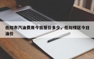 岳阳市汽油费用今日报价多少，岳阳楼区今日油价