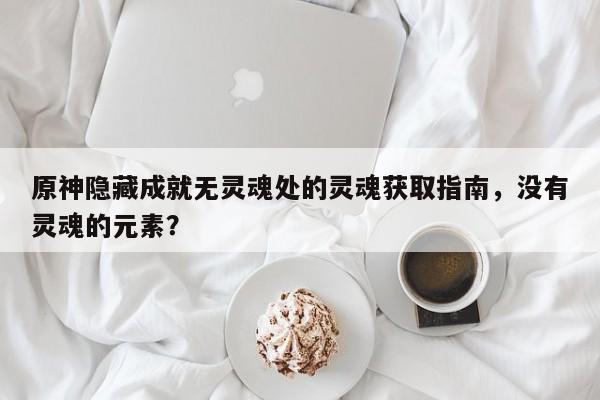 原神隐藏成就无灵魂处的灵魂获取指南，没有灵魂的元素？