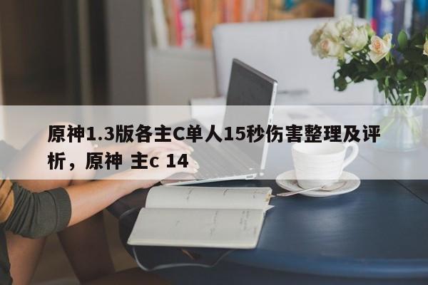 原神1.3版各主C单人15秒伤害整理及评析，原神 主c 14