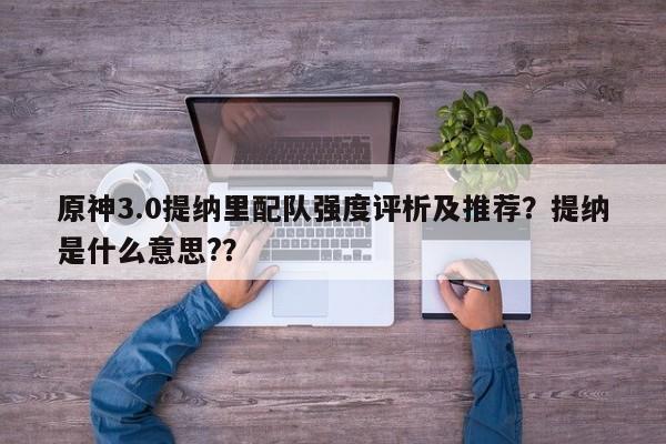 原神3.0提纳里配队强度评析及推荐？提纳是什么意思?？